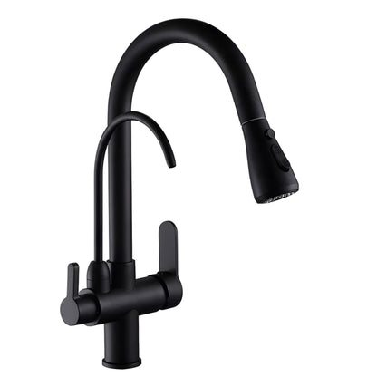 NXUS 3 Way Kitchen Faucet with Pull-out Spray, High Arc Gooseneck, 360° Swivel Spout